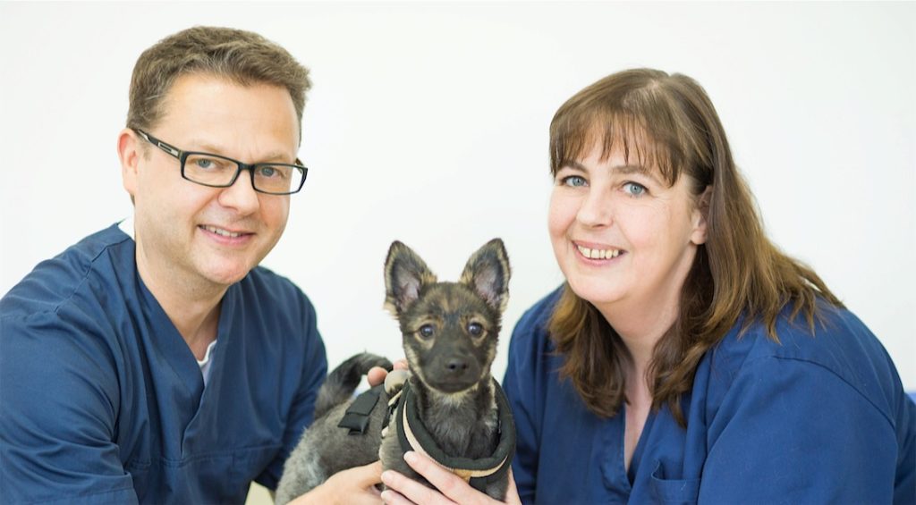 Tierärztliche Gemeinschaftspraxis Bergmann und Stutte